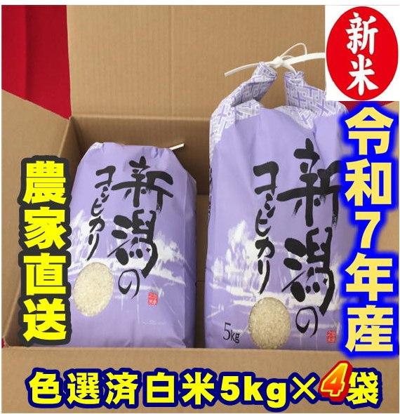 令和７年度産　新潟コシヒカリ　白米5㎏×4個　農家直送　色彩選別済　   予約9月10日頃の商品画像
